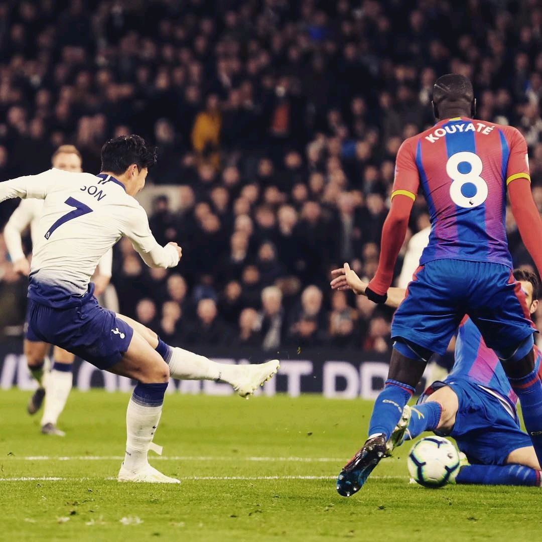 了一个完美 了一个完美